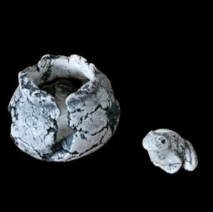 Stan Langtwait Shapes of Clay Brutalist Organic Texture Vase & Frog Figure